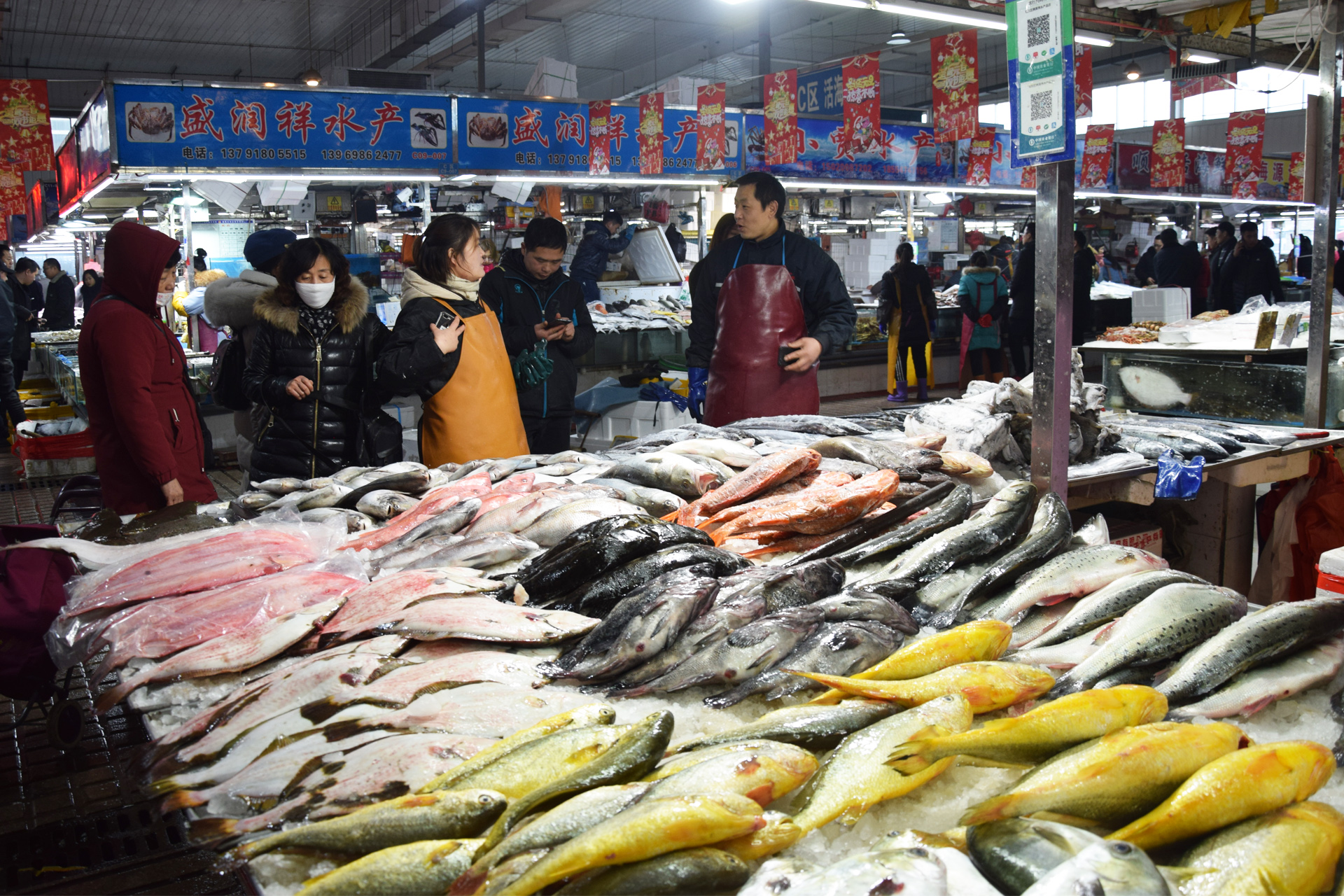 海鲜商城 - 市场导航 - 青岛市城阳蔬菜水产品批发市场